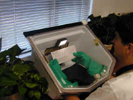 biosafemail2bg.jpg (65295 bytes)