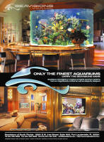 Custom Aquarium Brochure