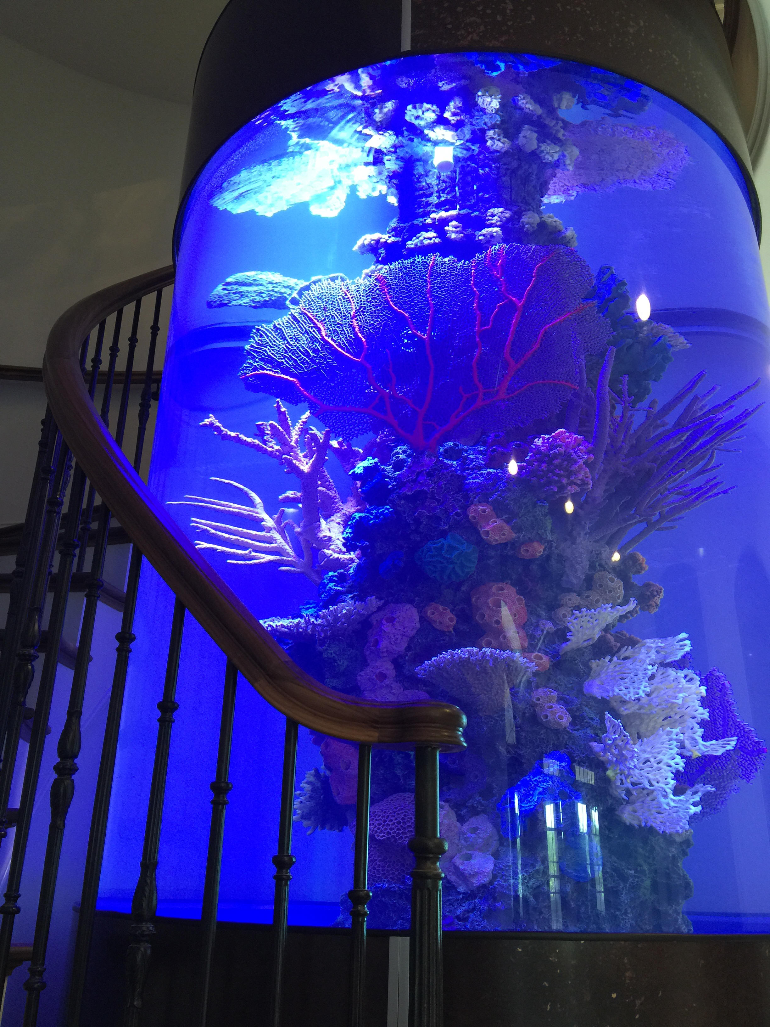Custom Aquariums