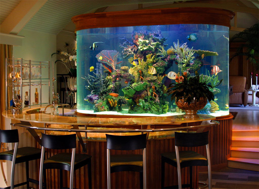 Home Aquarium | custom aquariums Home Aquarium | custom aquariums