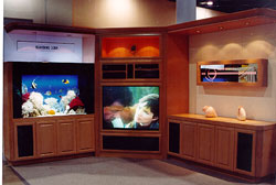 tv.jpg (13748 bytes)